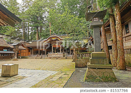 諏訪大社上神社(諏訪) 諏訪大社上神社(諏訪) 81537766