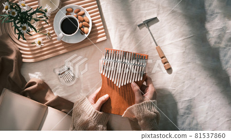 Topview Kalimba, acoustic music instrument from africa. Kalimba concept. Topview Kalimba, acoustic music instrument from africa. Kalimba concept. 81537860