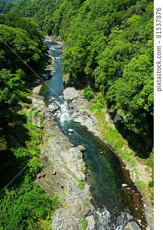 Angler fishing for sweetfish in a deep valley Angler fishing for sweetfish in a deep valley 81537876