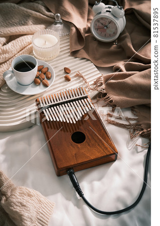 Topview Kalimba, acoustic music instrument from africa. Kalimba concept. 81537895
