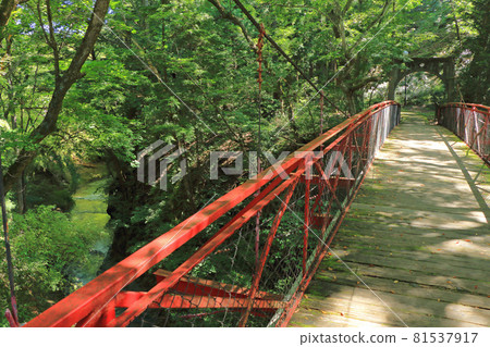 花京湯溫泉紅葉橋 81537917