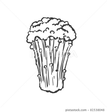 金針菇日式手繪線描插畫 金針菇日式手繪線描插畫 81538048