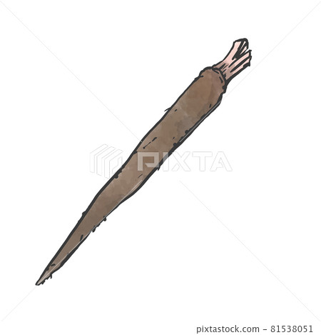 Japanese style hand-drawn illustration of burdock Japanese style hand-drawn illustration of burdock 81538051