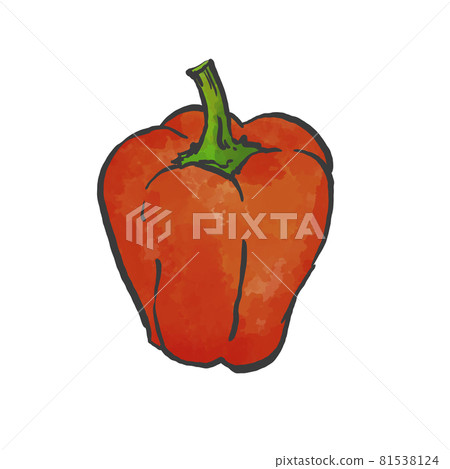 Japanese style hand-drawn illustration of red paprika Japanese style hand-drawn illustration of red paprika 81538124