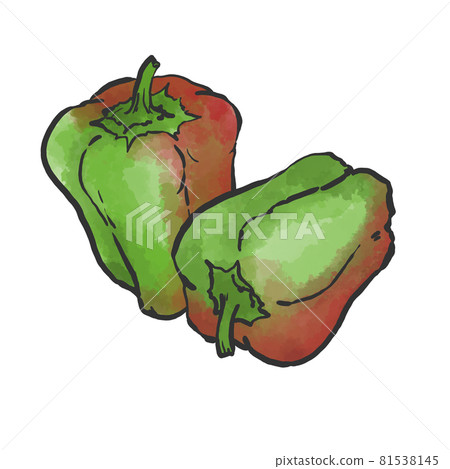 Japanese-style hand-drawn illustrations of bell peppers Japanese-style hand-drawn illustrations of bell peppers 81538145
