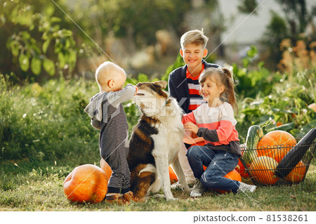 Cute childresn sitting on a garden near many pumpkins 81538261