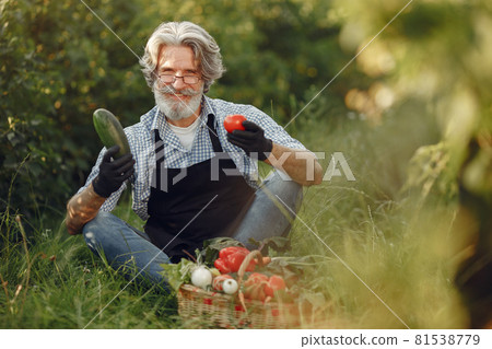 Senior with box vegetables garden background sunse Senior with box vegetables garden background sunse 81538779