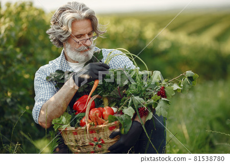 Senior with box vegetables garden background sunse Senior with box vegetables garden background sunse 81538780