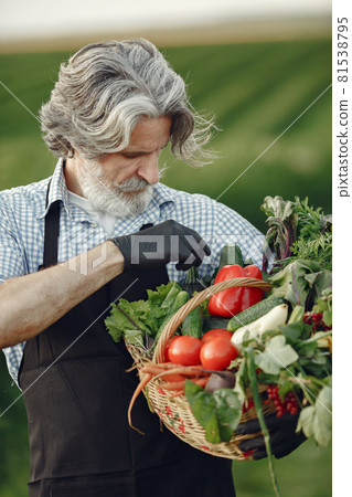 Senior with box vegetables garden background sunse 81538795