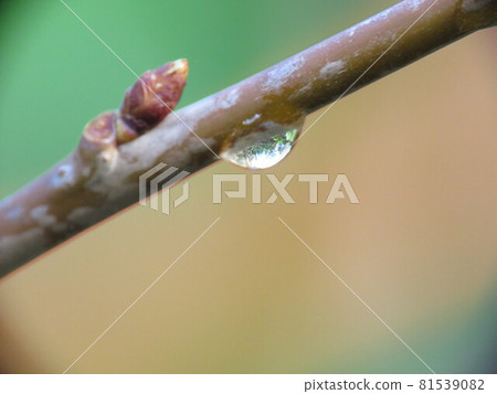 Small drops Small drops 81539082