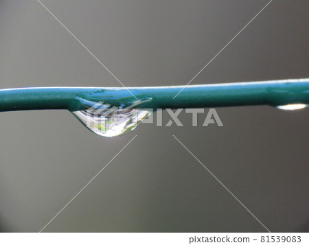 Small drops Small drops 81539083