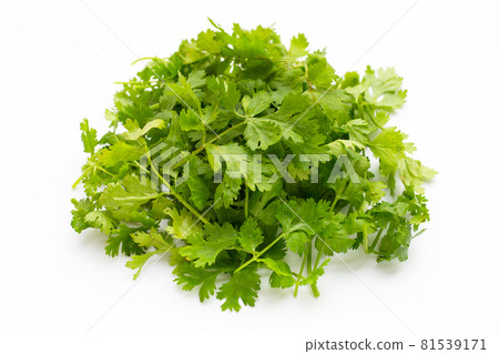 Fresh coriander leaves on white background. Fresh coriander leaves on white background. 81539171