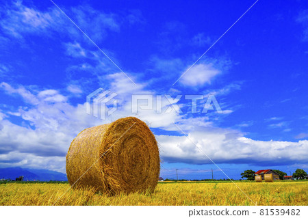 Landscape of fields and straw rolls in Hokkaido Japan Landscape of fields and straw rolls in Hokkaido Japan 81539482