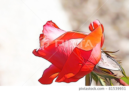 柔和的風格“盛開的玫瑰花”插圖圖像 柔和的風格“盛開的玫瑰花”插圖圖像 81539931