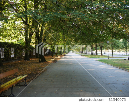 Lazienki Park Lazienki Park 81540073