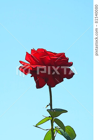 Pastel style "blue sky and roses in full bloom" illustration image 81540080