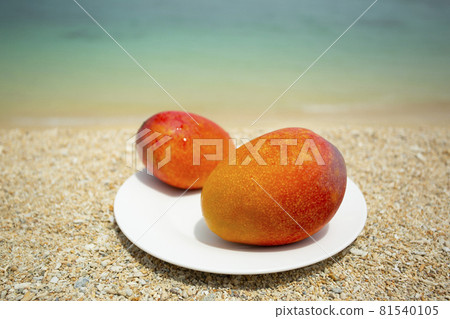 沖繩特產芒果 81540105