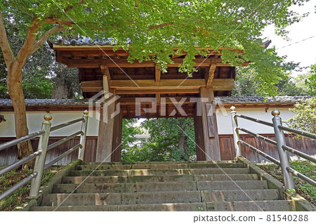 靈善寺（東松山） 81540288