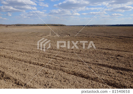 A plowed agricultural field. Blue sky over a farm field. 81540658