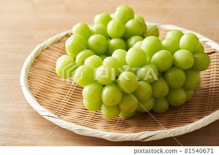 在濾器中閃耀馬斯喀特 81540671