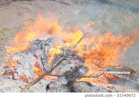 Big bonfire in the open air. A pile of ash from burnt boards and branches. Hot flame. 81540672