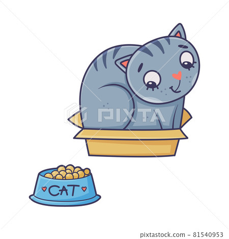 Funny Blue Cat with Striped Tail Sitting in Cardboard Box Looking at Feed Bowl Vector Illustration 81540953