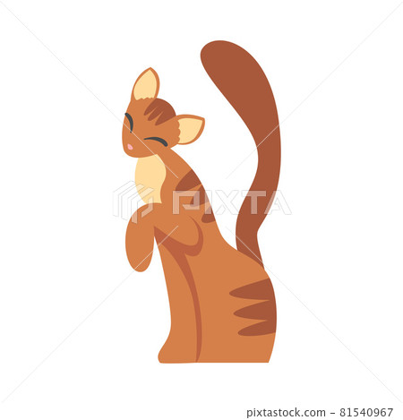 Ginger Cat with Smooth Coat as Furry Domestic Pet Vector Illustration 81540967