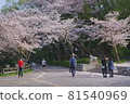 三池公園櫻花吹吹 81540969