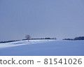 美瑛的雪原 81541026