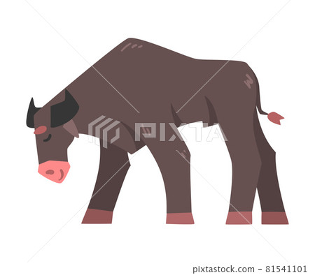Black Horned Standing Bull with Hoof and Muscular Neck Vector Illustration 81541101