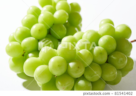 Shine Muscat 81541402