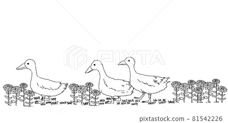 Illustration of a flower path where a duck walks 81542226