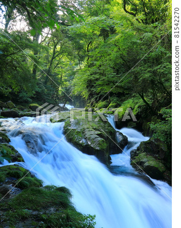 Light Kikuchi Gorge (Tengu Waterfall) Light Kikuchi Gorge (Tengu Waterfall) 81542270