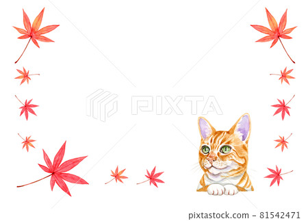 Autumn leaves and cat autumn frame [hand-painted watercolor] 81542471