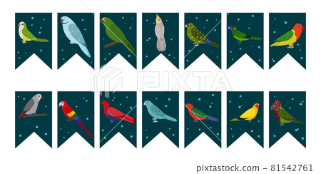 Flags garland for birthday party with tropical birds on colorful dark green background. Bunting wit kakariki, african grey jaco, barred and aratinga parrots. Hand drawn kid illustration. Flags garland for birthday party with tropical birds on colorful dark green background. Bunting wit kakariki, african grey jaco, barred and aratinga parrots. Hand drawn kid illustration. 81542761