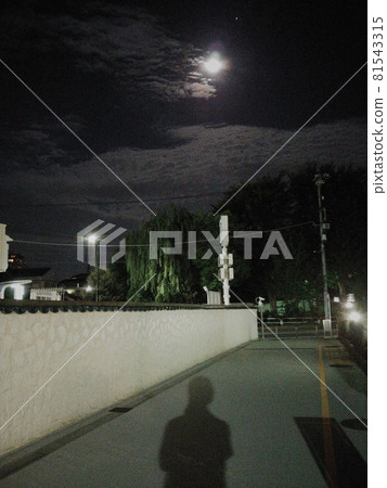 Full moon and figure 81543315