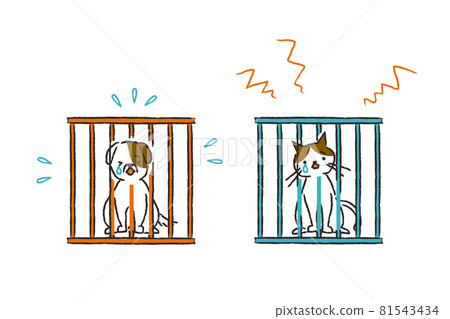 Caged dogs and cats 81543434