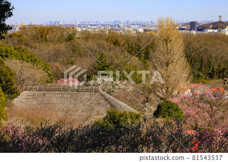 [東京] 從茂草園展望台眺望 81543537