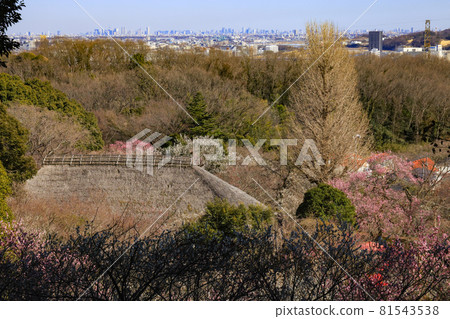 [東京] 從茂草園展望台眺望 81543538