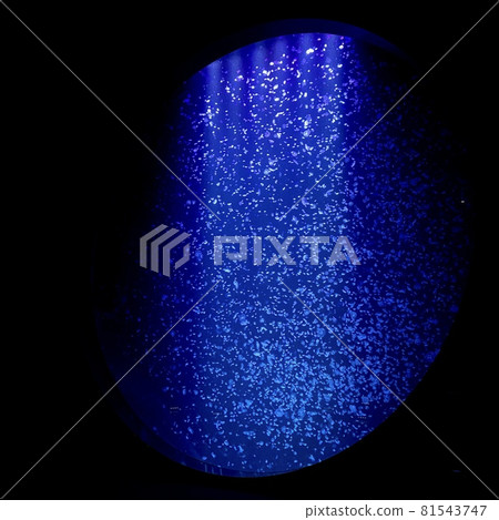 A state of moon jellyfish floating in a large aquarium 81543747