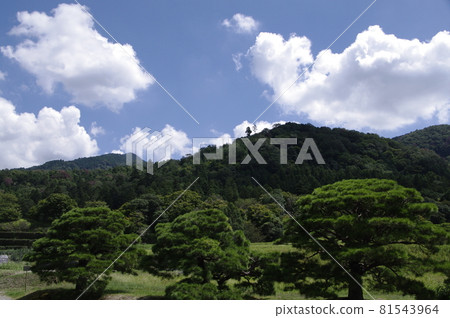 Kyoto Shogakuin Rikyu 81543964