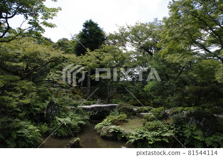 京都小學Rikyu 京都小學Rikyu 81544114