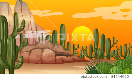 Desert forest landscape at sunset time scene with many cactuses Desert forest landscape at sunset time scene with many cactuses 81544630