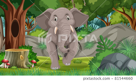 Elephant in forest or rainforest scene with many trees Elephant in forest or rainforest scene with many trees 81544660