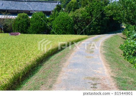 上之野散步道《厚木市》 81544901
