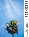 Blue sky and dying palm trees 81545288