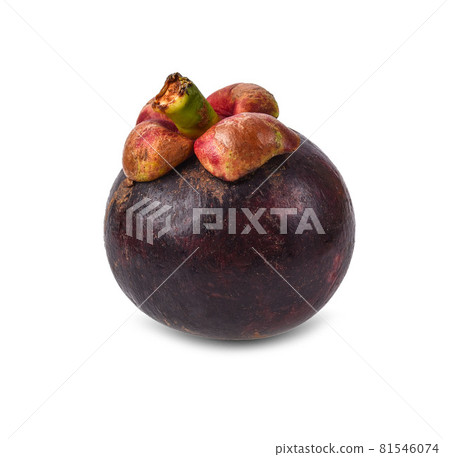 Mangosteen fruit on white background. Mangosteen fruit on white background. 81546074