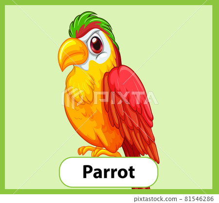 Educational English word card of Parrot 81546286