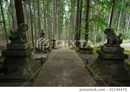 神加茂神社 81546478