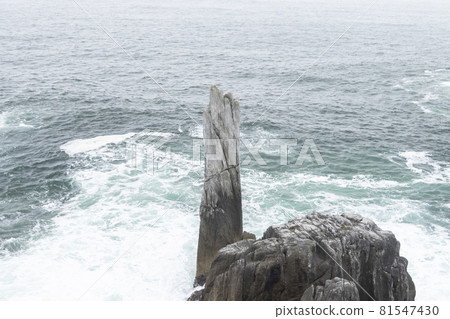 在宮城縣氣仙沼市發現海濱長廊 宮城偶來徒步路線 81547430